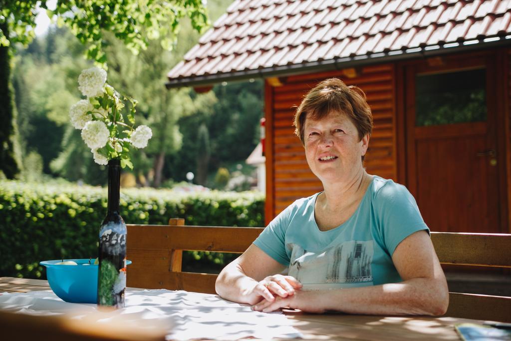 Pocitniska Hiska Pod Skalco Villa Камник Екстериор снимка