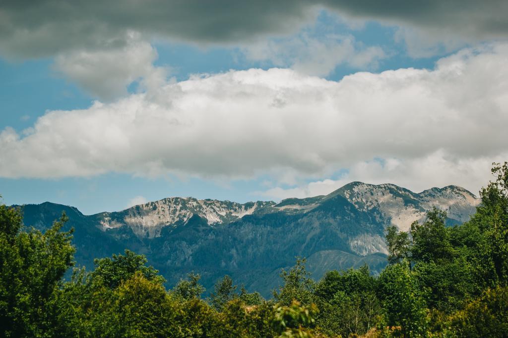 Pocitniska Hiska Pod Skalco Villa Камник Екстериор снимка